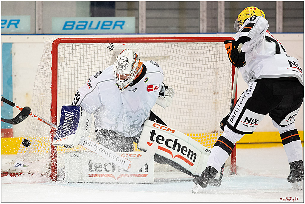 PENNY DEL 1. Testspiel Koelner Haie - Loewen Frankfurt; Koeln, 27.08.2023